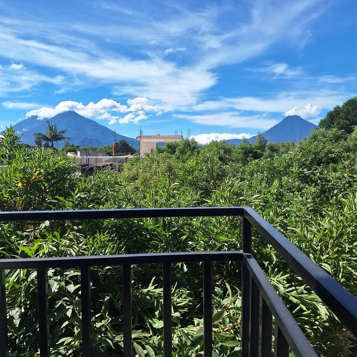 La vista desde el balcón de Monarca: los volcanes San Pedro, Tolimán y Atitlán sobre las copas de los árboles